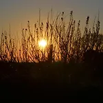 Le Saline